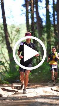 BIB:  <button type="button" onclick="openModal(26787595)" class="btn btn-primary btn-sm float-right" data-toggle="modal" data-target=".modal-high-quality">
                <i class="fa fa-download"></i> Download
                </button>